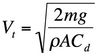 V(t) = √(2mg/ρAC(d))