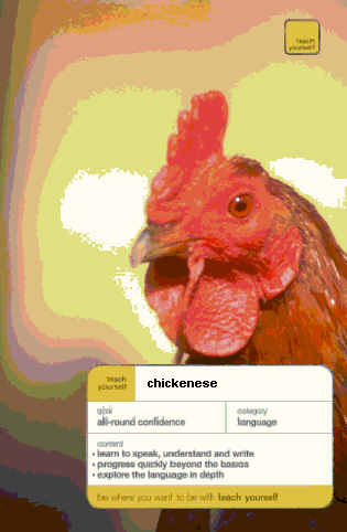 Teach Yourself Chickenese