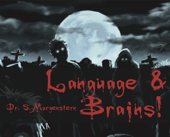 Dr. S. Morgenstern: Language & Brains